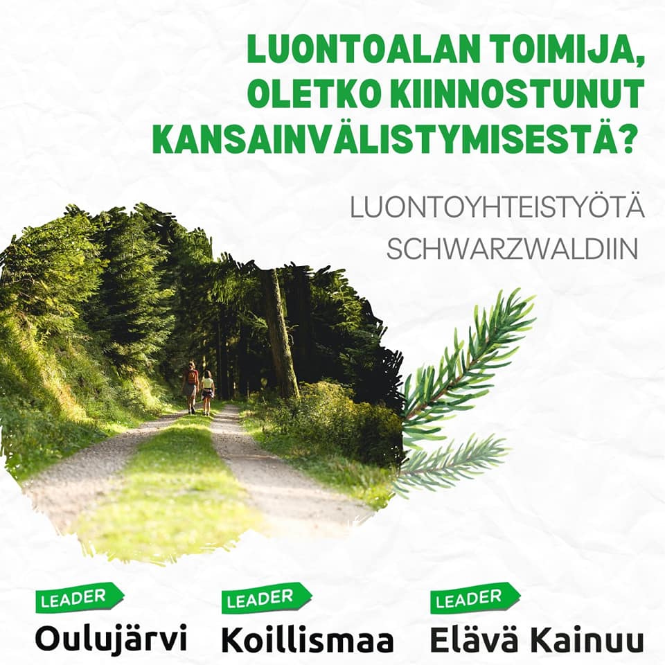 Luontoalan toimija, oletko kiinnostunut kansainvälistymisestä?